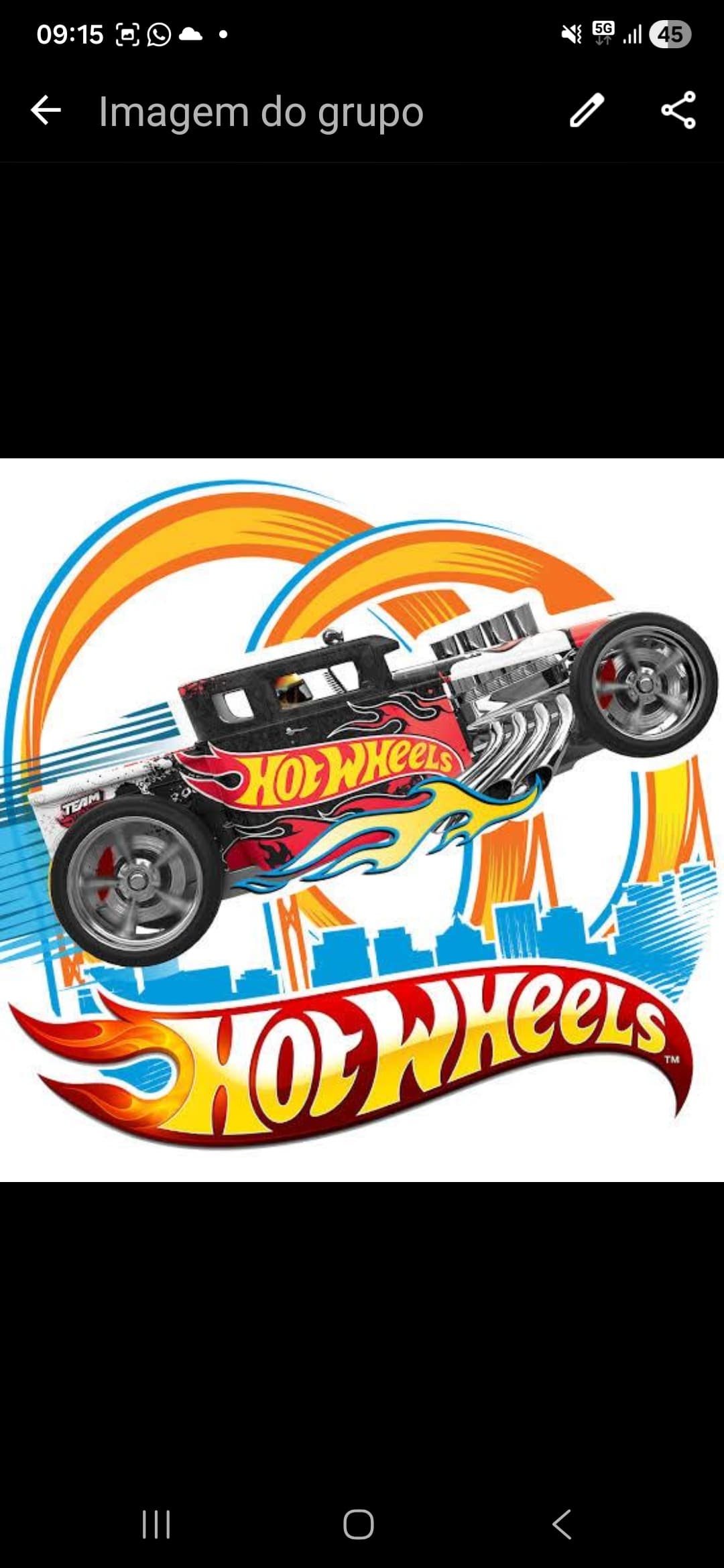 🏁 QG dos Colecionadores 🔧🏎️ CaMig