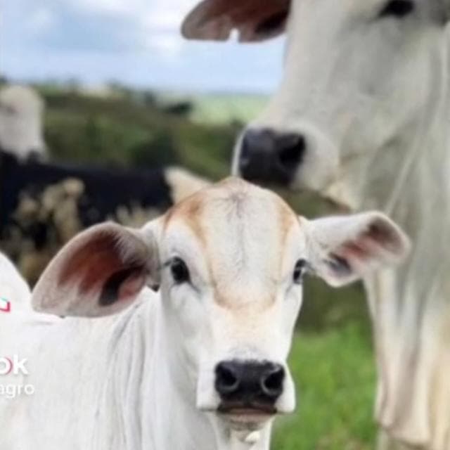 Us country de{PR}🤠