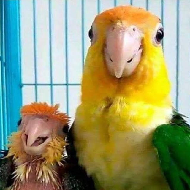 Grupo de amizades 🌚🔥